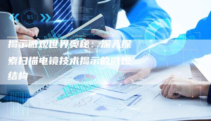 揭示微观世界奥秘：深入探索扫描电镜技术揭示的微观结构